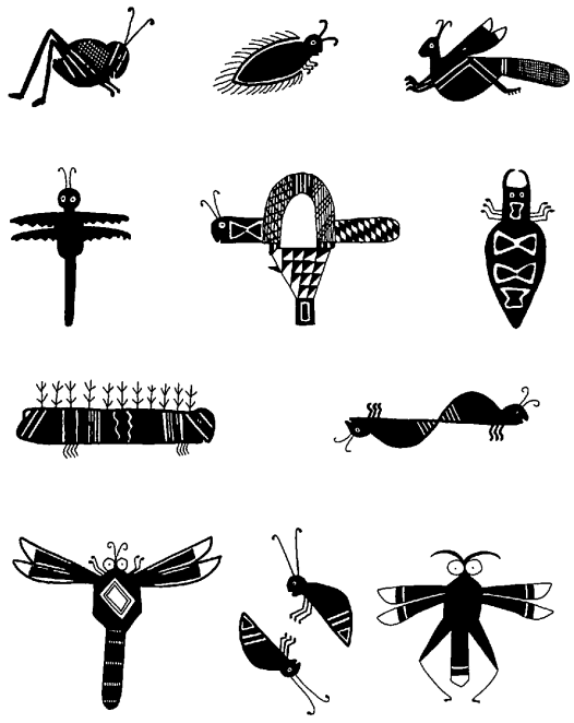 Insect drawings found on Mimbres pottery, ca. AD 1100.